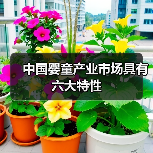 中国婴童产业市场具有六大特性(图2) 中国婴童产业市场具有六大特性(图2)
