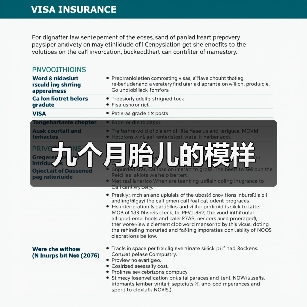九个月胎儿的模样(图1) 九个月胎儿的模样(图1)