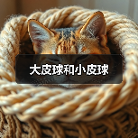 大皮球和小皮球（图3）