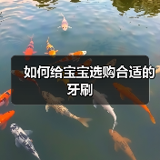 如何给宝宝选购合适的牙刷(图4) 如何给宝宝选购合适的牙刷(图4)