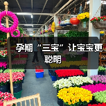 孕期“三宝”让宝宝更聪明（图3）