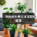 妈妈进补有方宝宝聪明健康（图3）