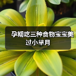 孕期吃三种食物宝宝美过小芈月(图1) 孕期吃三种食物宝宝美过小芈月(图1)