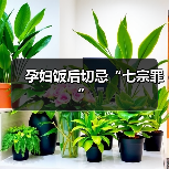 孕妇饭后切忌“七宗罪”（图1）