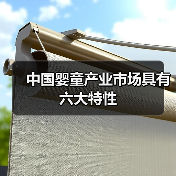 中国婴童产业市场具有六大特性(图3) 中国婴童产业市场具有六大特性(图3)