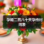 孕期二百八十天孕检时间表(图4) 孕期二百八十天孕检时间表(图4)