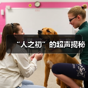 “人之初”的超声揭秘(图1) “人之初”的超声揭秘(图1)
