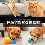 怀孕初期多久做B超?(图2) 怀孕初期多久做B超?(图2)