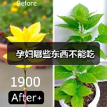 孕妇哪些东西不能吃(图2) 孕妇哪些东西不能吃(图2)