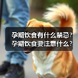 孕期饮食有什么禁忌?孕期饮食要注意什么?(图3) 孕期饮食有什么禁忌?孕期饮食要注意什么?(图3)