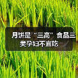 月饼是“三高”食品三类孕妇不宜吃(图4) 月饼是“三高”食品三类孕妇不宜吃(图4)