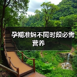 孕期准妈不同时段必需营养(图2) 孕期准妈不同时段必需营养(图2)