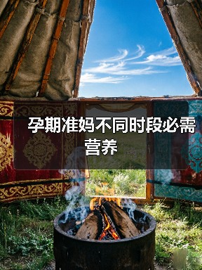 孕期准妈不同时段必需营养(图4) 孕期准妈不同时段必需营养(图4)