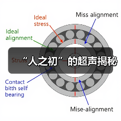“人之初”的超声揭秘(图3) “人之初”的超声揭秘(图3)