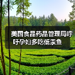 美国食品药品管理局呼吁孕妇多吃低汞鱼(图3) 美国食品药品管理局呼吁孕妇多吃低汞鱼(图3)