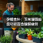 孕期食补:玉米增强胎盘功能百合缓解疲劳(图1) 孕期食补:玉米增强胎盘功能百合缓解疲劳(图1)