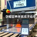 孕期营养关系孩子寿命?(图3) 孕期营养关系孩子寿命?(图3)