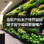 高龄产妇未产检巨婴撑破子宫孕妈妈要重视产检(图2) 高龄产妇未产检巨婴撑破子宫孕妈妈要重视产检(图2)