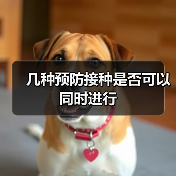 几种预防接种是否可以同时进行（图4）
