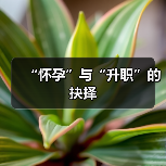 “怀孕”与“升职”的抉择(图1) “怀孕”与“升职”的抉择(图1)