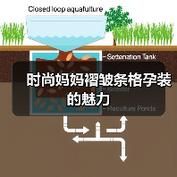 时尚妈妈褶皱条格孕装的魅力(图4) 时尚妈妈褶皱条格孕装的魅力(图4)