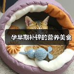 孕早期补锌的营养美食(图4) 孕早期补锌的营养美食(图4)
