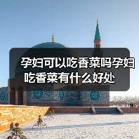 孕妇可以吃香菜吗孕妇吃香菜有什么好处(图2) 孕妇可以吃香菜吗孕妇吃香菜有什么好处(图2)